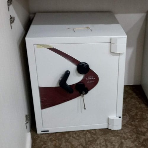 Type King Cobra MK II - Gambar 2