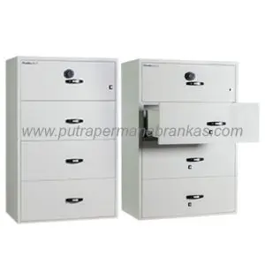 Type Lateral Fire File