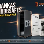 Read more about the article Chubbsafes