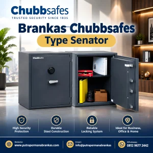 Type Senator